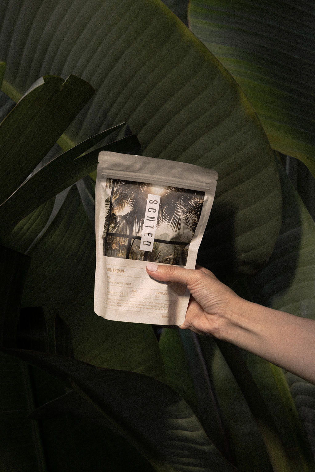 Eucalyptus and Mint Shower Steamer Tablets – 6-Tablet Bag | Bali Escape