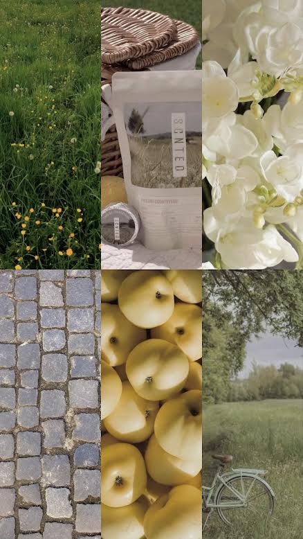 English Pear and Freesia Shower Steamer Tablets – 6-Tablet Bag | English Countryside