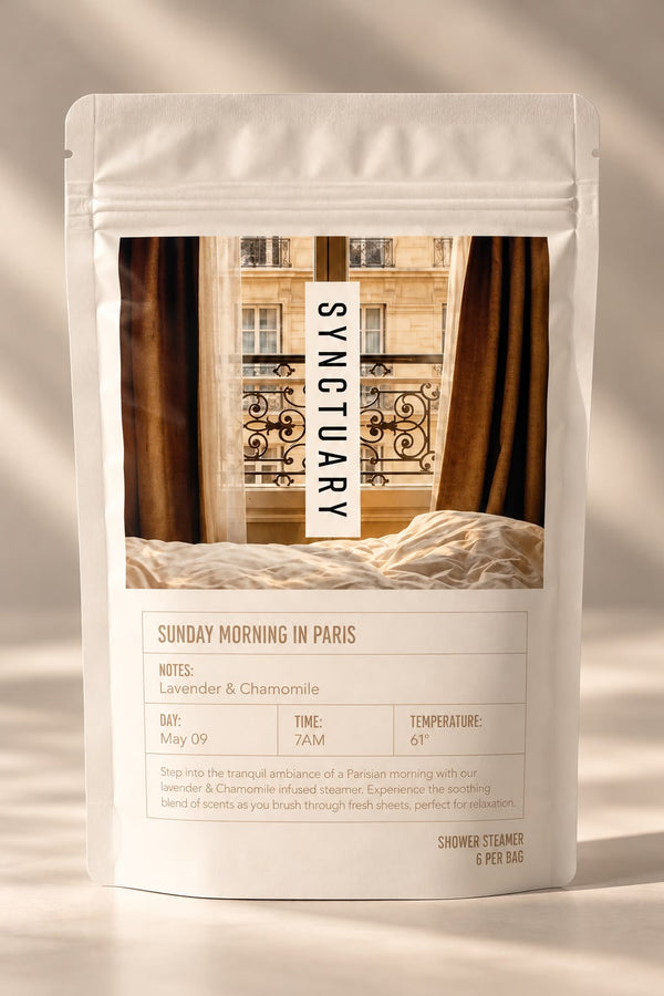 Sunday Morning in Paris pouch